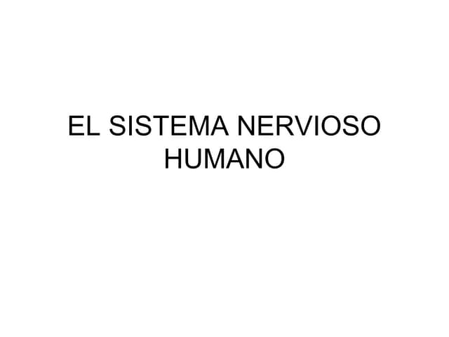 El sistema nervioso humano