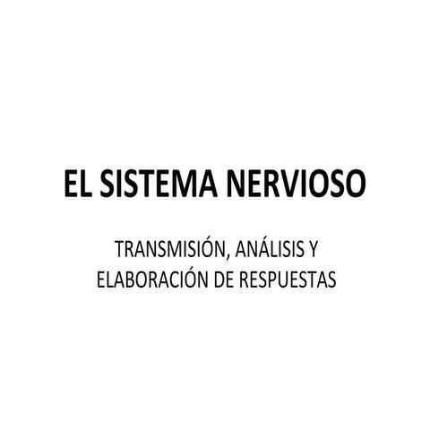 El sistema nervioso I