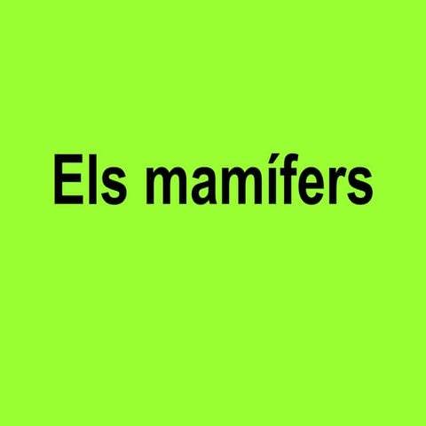 Els mamífers