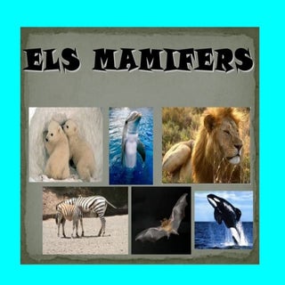 Els mamífers