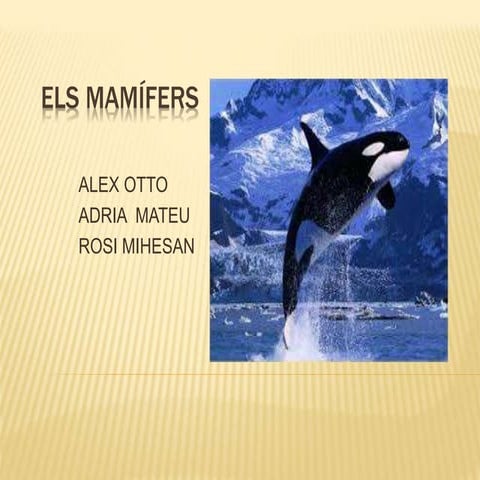Els mamífers 2