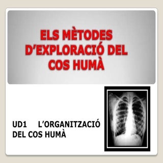 Els mètodes d’exploració del cos humà