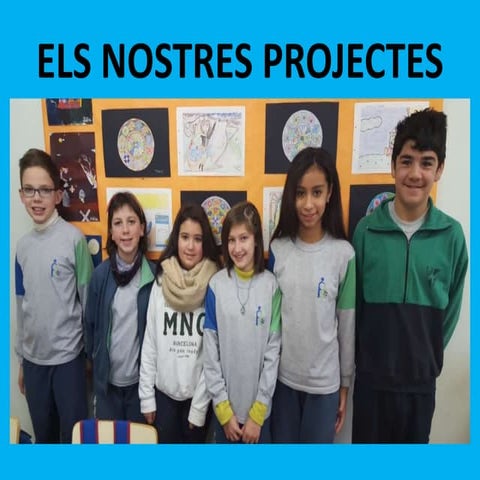 Els nostres projectes
