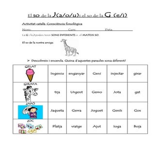 El so de la j i g . consciència fon...