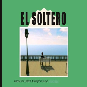 El soltero - La historia