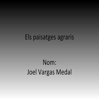 Els paisatges agraris (joel vargas ...
