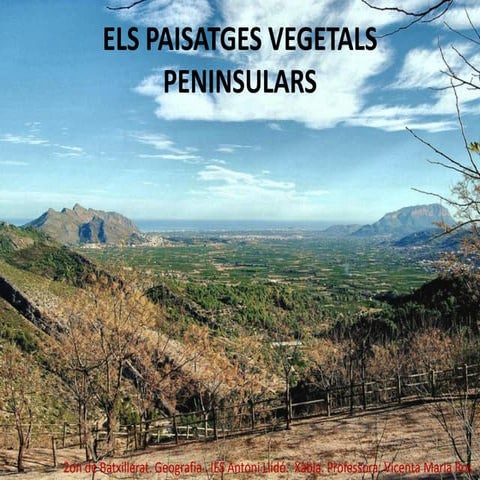 Els paisatges vegetals peninsulars
