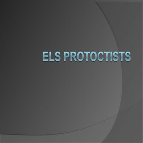 Els protoctists