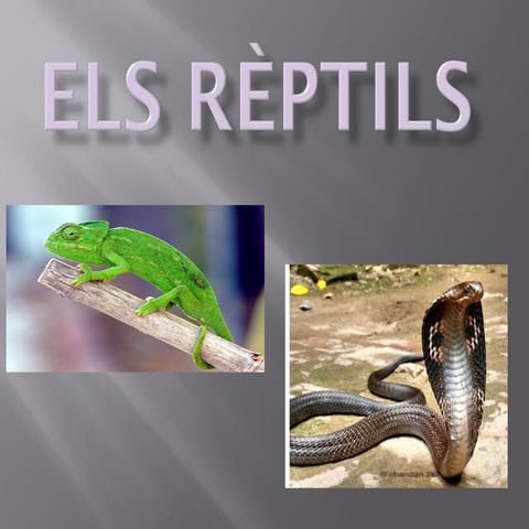 Els rèptils