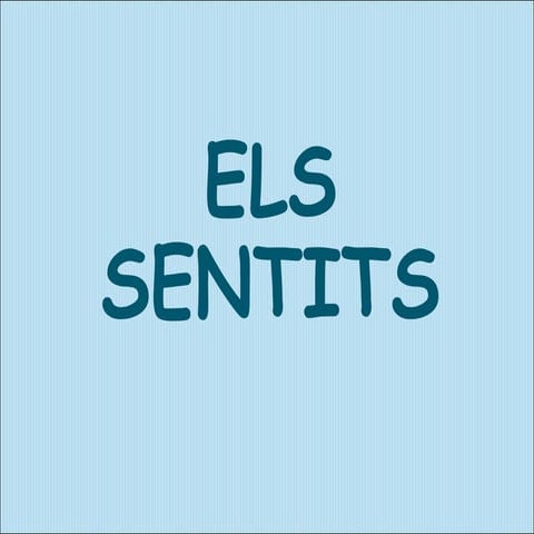 Els sentits