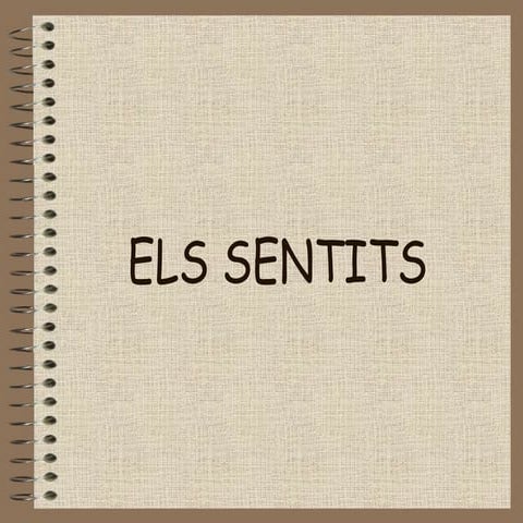 Els sentits