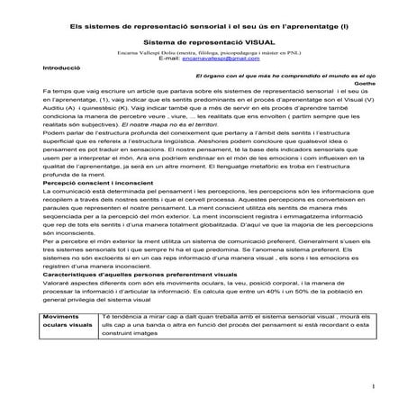 Els sistemes de representació sensorial visual