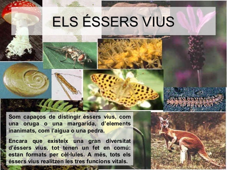 Els éssers vius