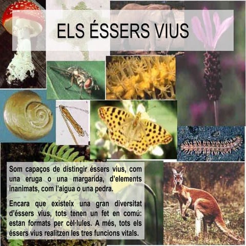 Els éssersvius 