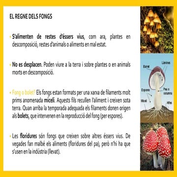 Els éssers vius (2.3)