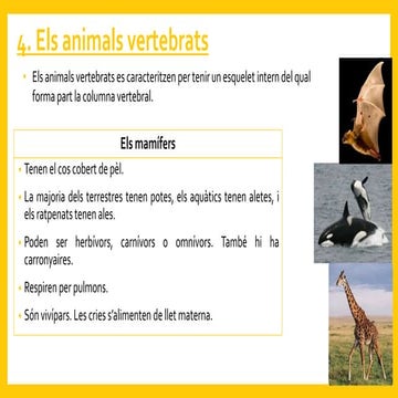 Els éssers vius (3.3)