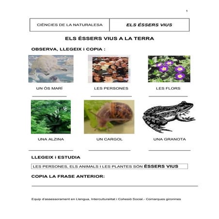 Els éssers vius adaptació