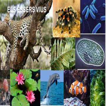 Els ésser vius .característiques i funcions