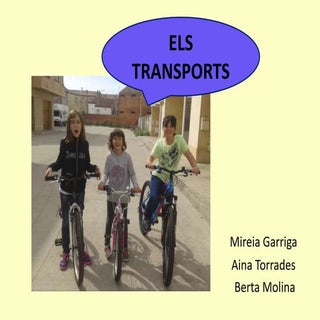 Els transports aina mireia berta