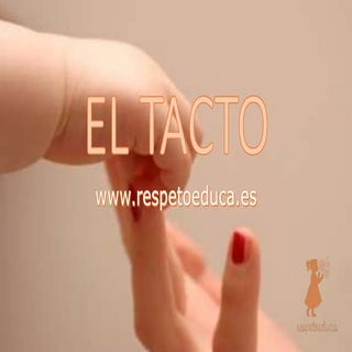 EVOLUCIÓN Y ESTIMULACIÓN DEL TACTO