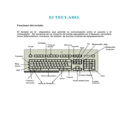 El teclado