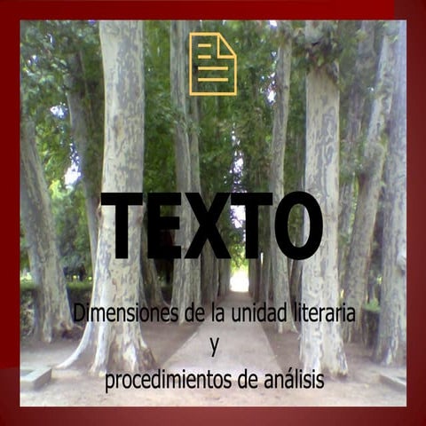 El texto como unidad de lengua