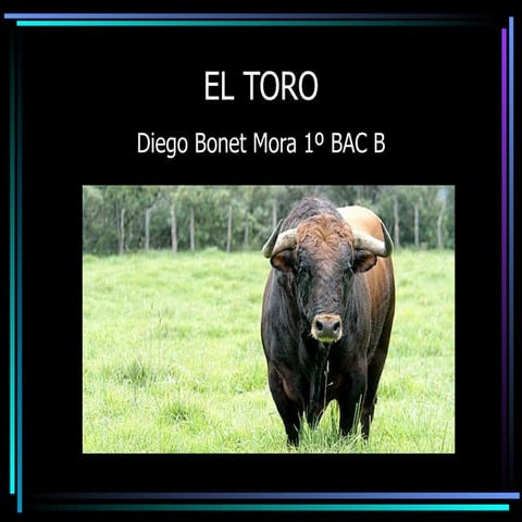 El Toro