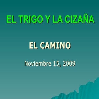 El Trigo y La Cizaña