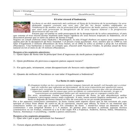 El trist record indonesia