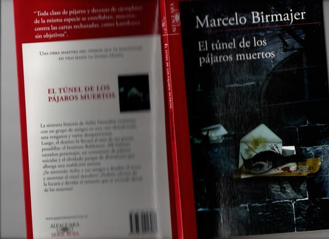El tunel de los pájaros muertos | PDF