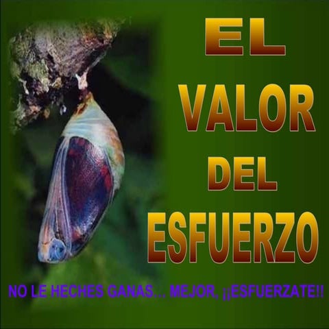 El valor del esfuerzo