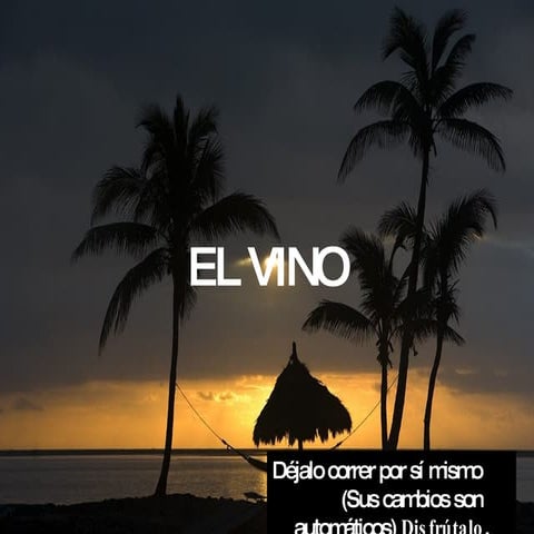 El vino