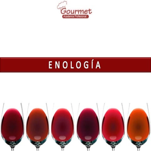 El vino y sus principales características