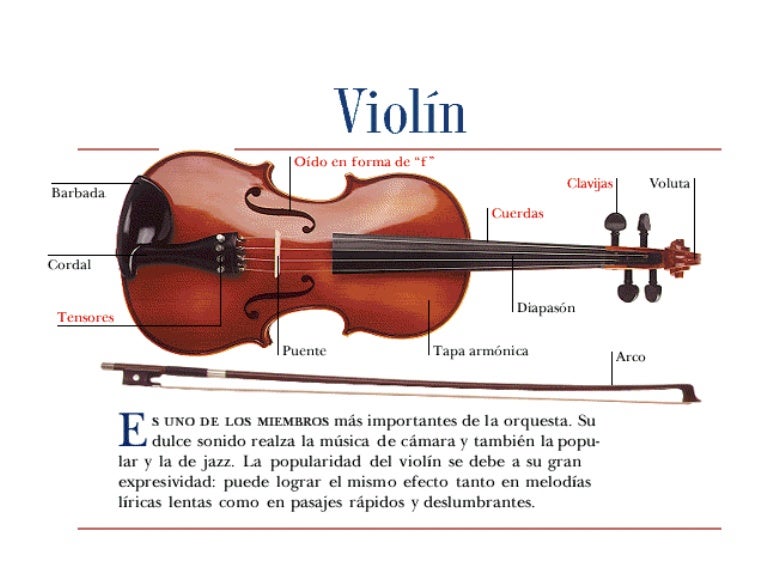 El Violin Presentacion