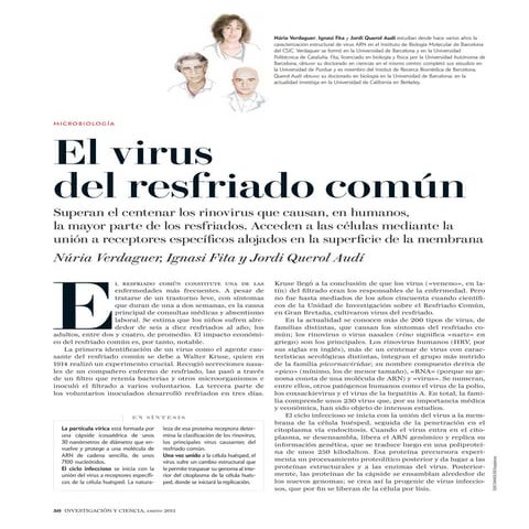 El virus del resfriado común
