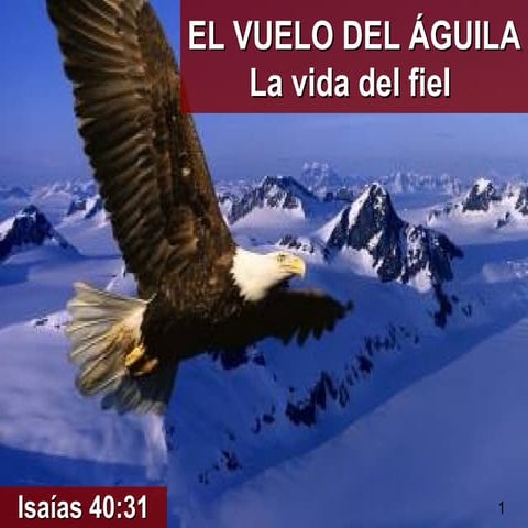El vuelo del águila. López de la Cruz