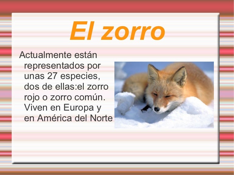 El zorro