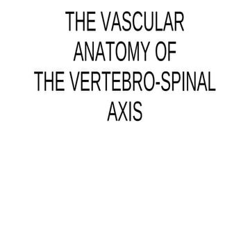 Vascular Anatomy of Spinal Cord