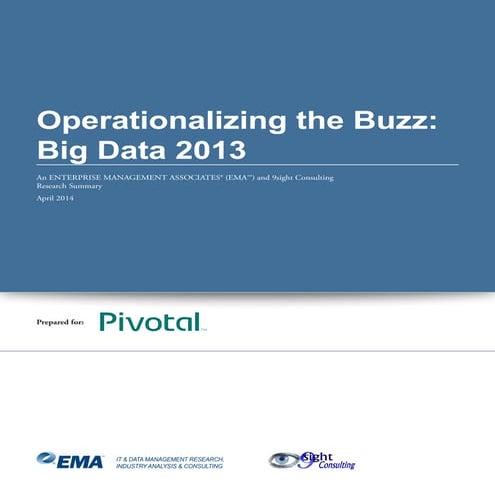 Operationalizing the Buzz: Big Data 2013