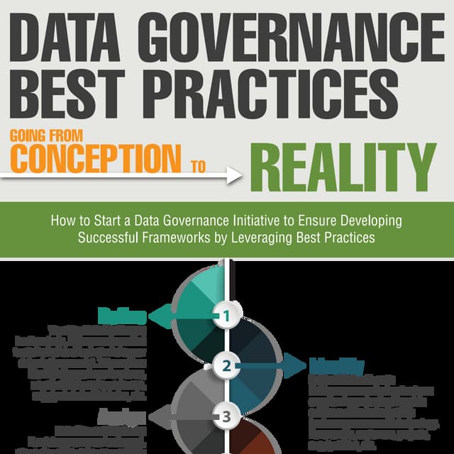 Infographic Data Governance Best Practices PDF
