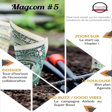 MAGCOM n°5