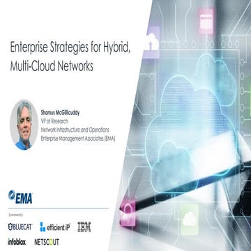 Enterprise Strategies for Hybrid, Multi-Cloud Networks