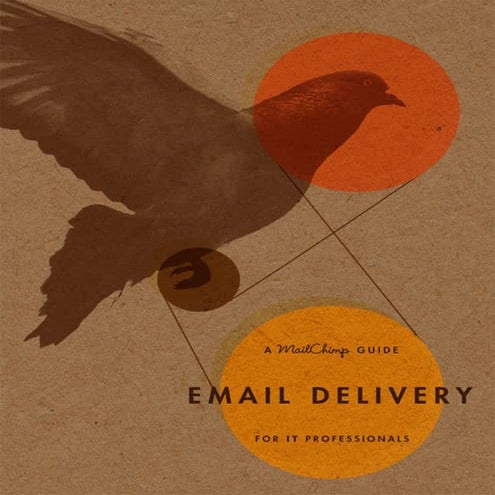 Email delivery-for-it-professionals