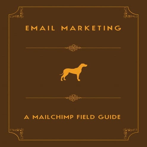 Email marketing-field-guide