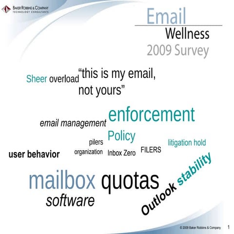 Email Wellness 2009 Survey - Executive Summary July 2009 by Baker Robbins