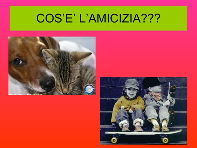 Amicizia è...