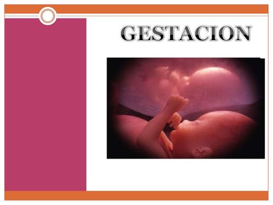 Power point embarazo, | PPT