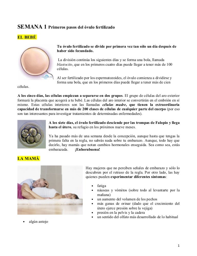 9 semanas y 2 dias de embarazo sintomas