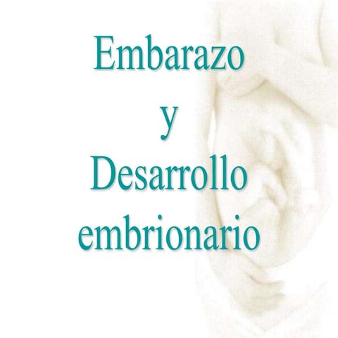 Embarazo y desarrollo