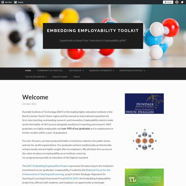 Embedding Employability Toolkit DkIT, Dundalk Institute of Technology | PDF